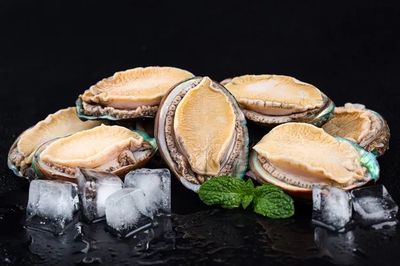 和治友德世界海洋日特輯 共同守衛(wèi)蔚藍(lán)，探索海洋生物活性物質(zhì)的綠色未來